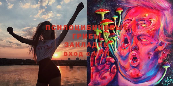 ПСИЛОЦИБИНОВЫЕ ГРИБЫ Покачи