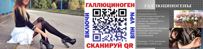 Купить  Минеральные Воды  Галлюциногенные грибы Psilocybine cubensis 