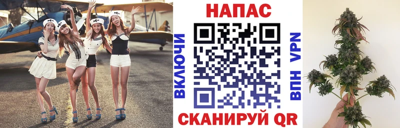 Каннабис OG Kush  Купить  Минеральные Воды 
